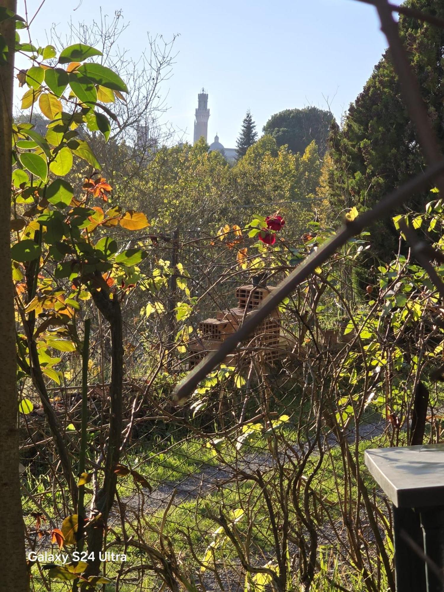 Podere Ponticini Siena Eksteriør bilde
