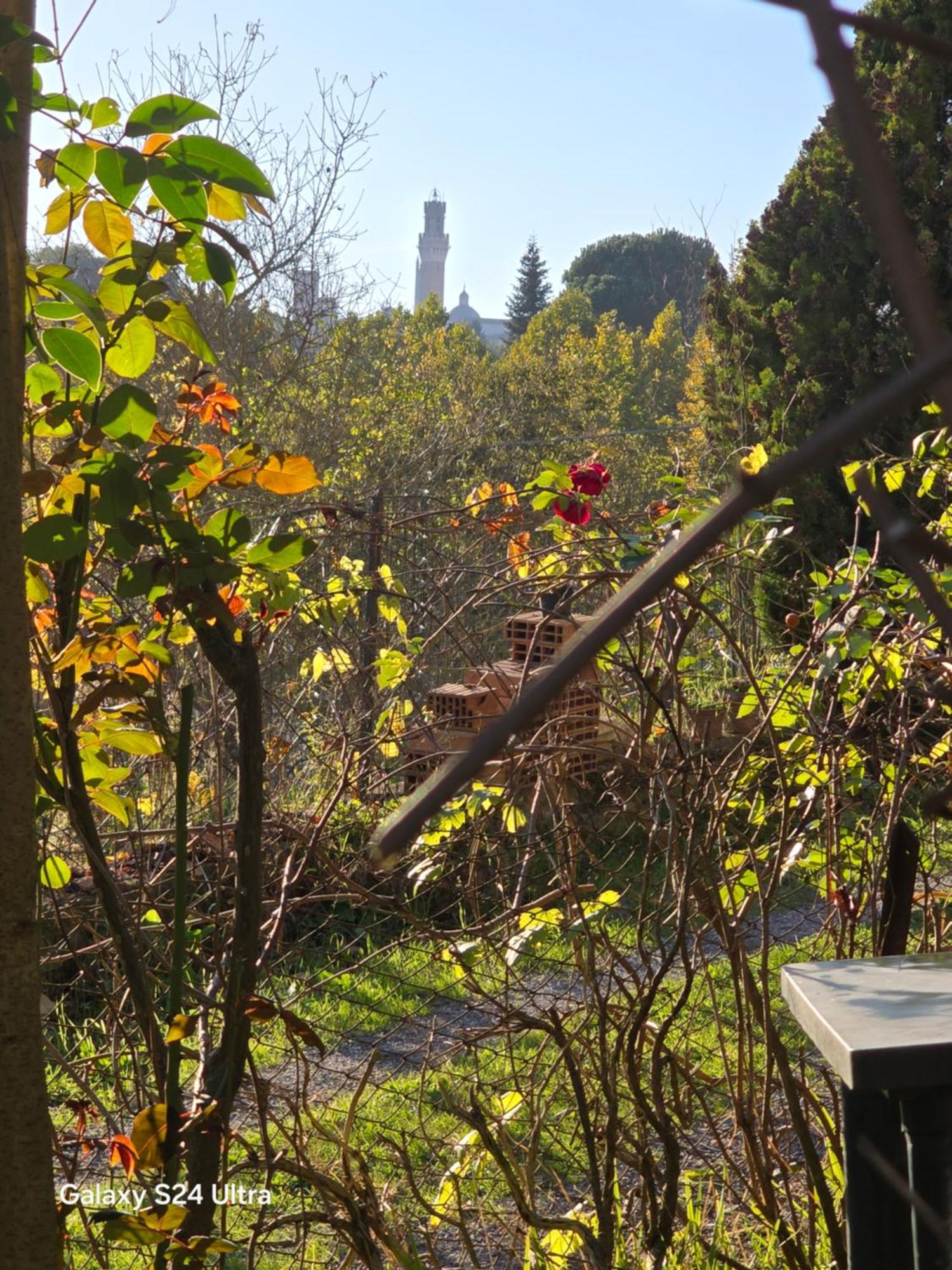 Podere Ponticini Siena Eksteriør bilde